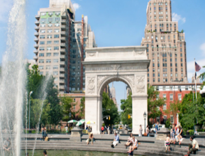 New York University